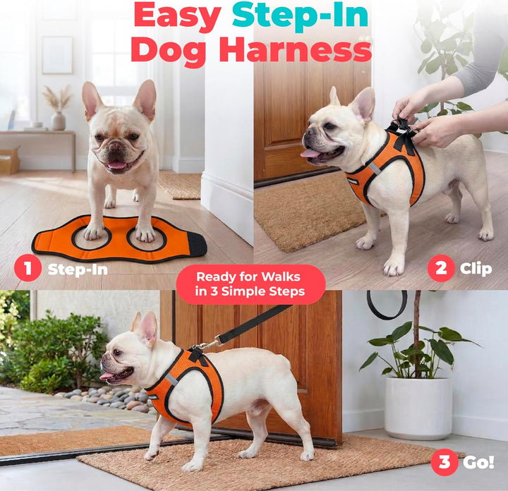 Best Pet Supplies Voyager Step-In Air Hundegeschirr – Allwetter-Netzgewebe für kleine und mittelgros