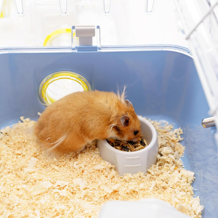 Ferplast Hamsterkäfig, COMBI 2 Nagerkäfig, Kleintierkäfig, Hamsterzubehör inklusive, 79 x 30 x h 26