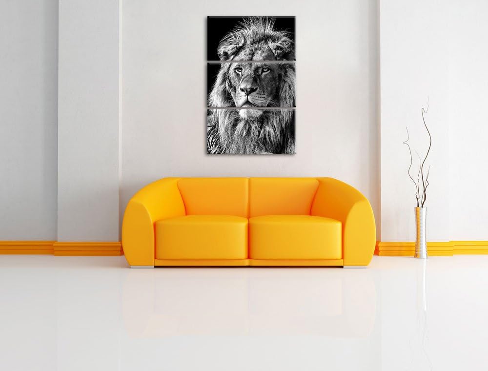 Pixxprint beeindruckender Löwe als Leinwandbild/Grösse: 3 Teilig (120x80) cm/Wandbild/Kunstdruck/fer
