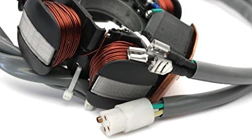 Lichtmaschine Anker Strator TPH NRG Zip Sfera Quartz Free, Gilera Runner Stalker
