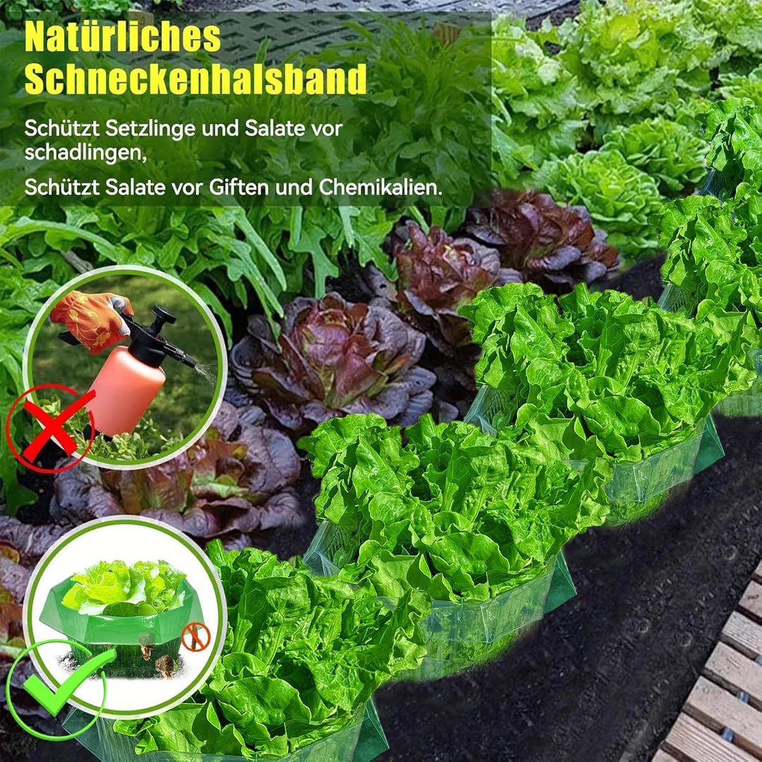 10 Stück Schneckenkragen,Schneckenschutz,Schneckenkragen aus Plastik,Schneckenschutzringe,Schneckenz