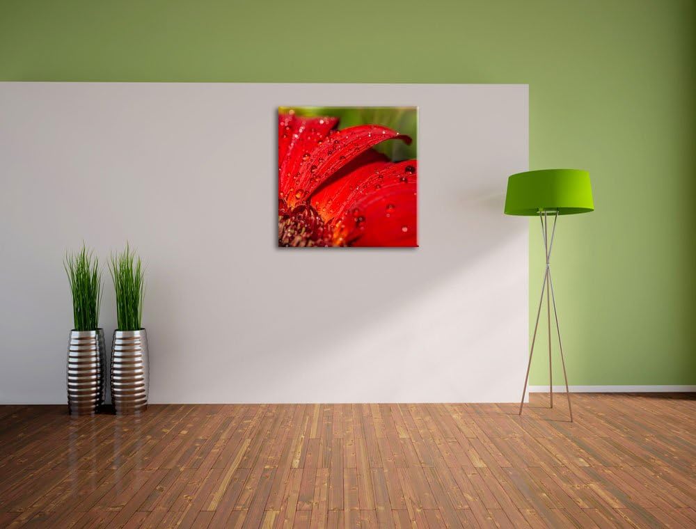Tautropfen auf roter Blume, Format: 70x70 auf Leinwand, XXL riesige Bilder fertig gerahmt mit Keilra