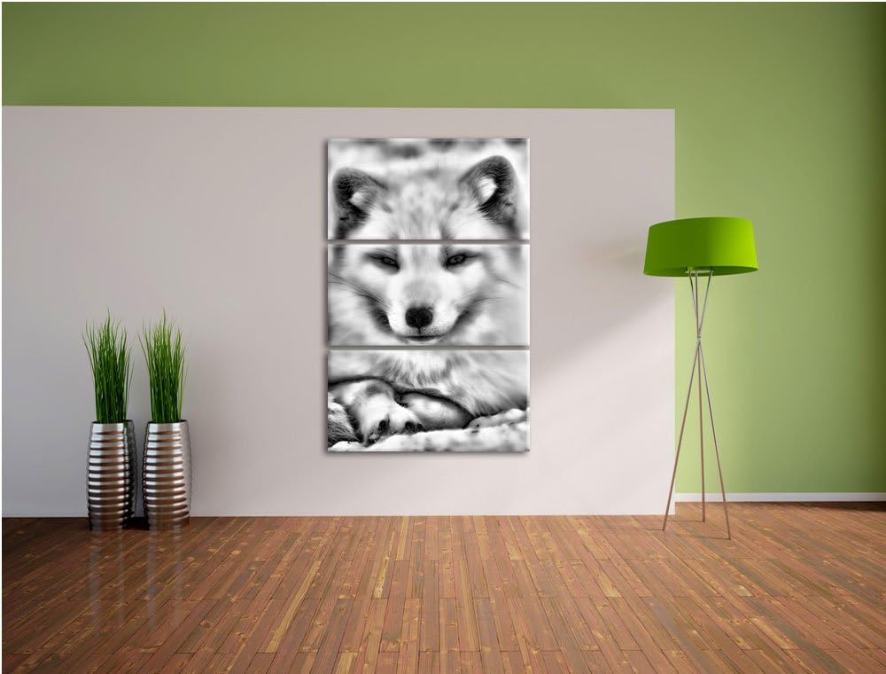 Pixxprint Monocrome, Weisser Fuchs 3-Teiler Leinwandbild 120x80 Bild auf Leinwand