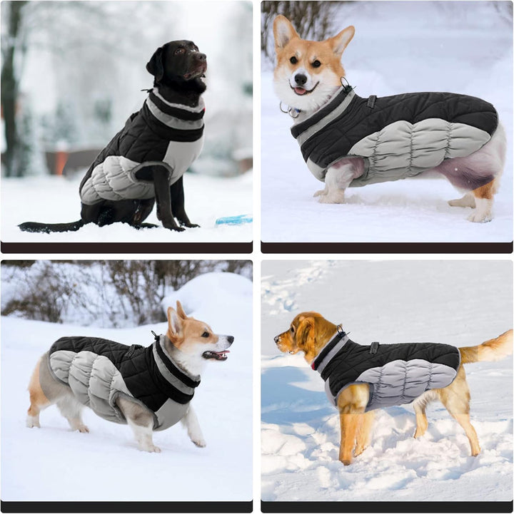 Kuoser Hundejacke Hundemantel für Mittelgrosse Hunde Winterweste Wasserdicht Wintermantel Mit Geschi