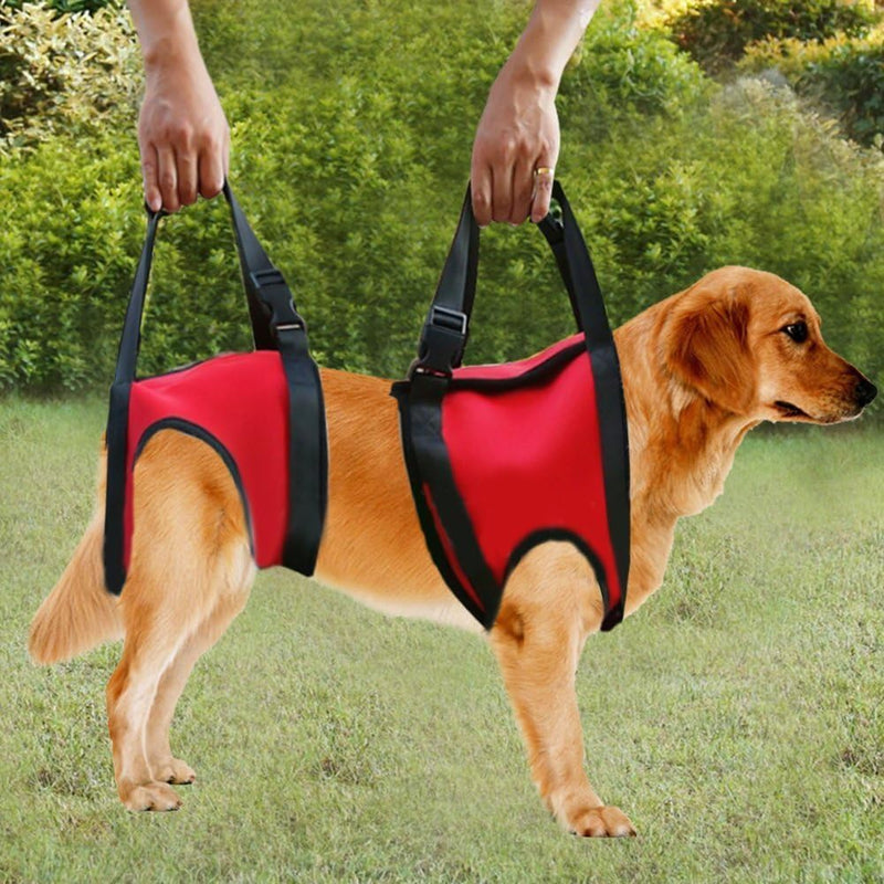 FILFEEL Hunde Tragehilfe vorne Hund Unterstützung Harness Pet Gehhilfe Heben Ziehen Weste Sling Unte