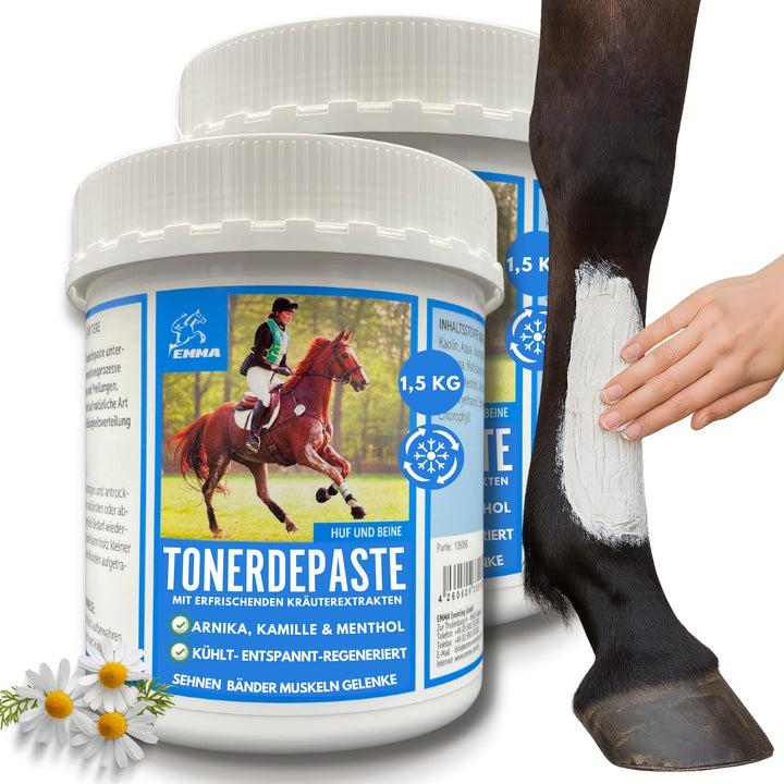 EMMA Tonerde Pferd ⇒ Essigsaure Tonerde Pferde Pferdebalsam Kühlend - Paste Mit Arnika Salbe Mineral