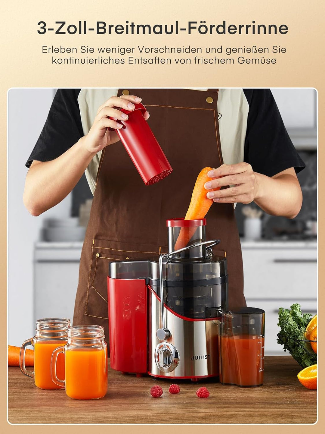 JUILIST Entsafter Gemüse und Obst, 65 mm Einfüllschacht, 3 Einstellungen, Mit Reinigungsbürste, Leic