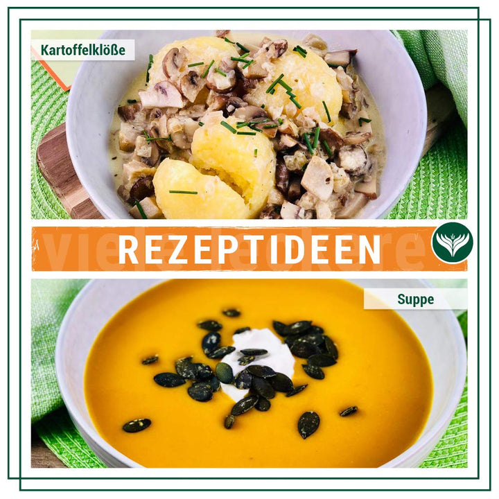 Azafran Muskatnüsse ganz 80/85 - Premium Qualität 40 Stk 40 Stück, 40 Stück
