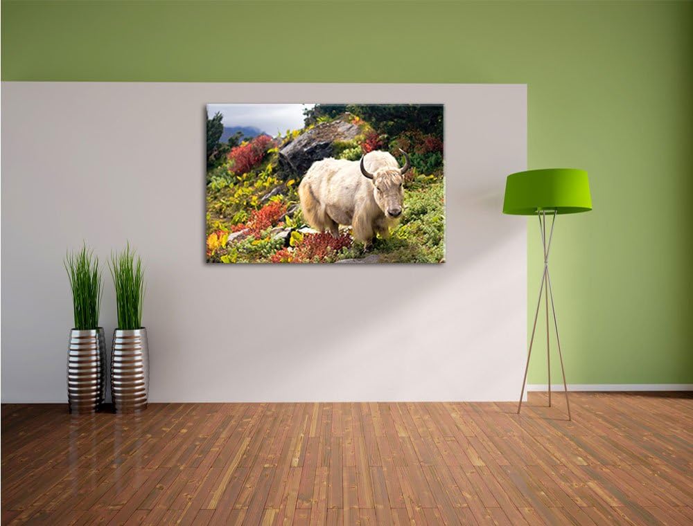 Schönes Yak Himalaya, Format: 100x70 auf Leinwand, XXL riesige Bilder fertig gerahmt mit Keilrahmen,