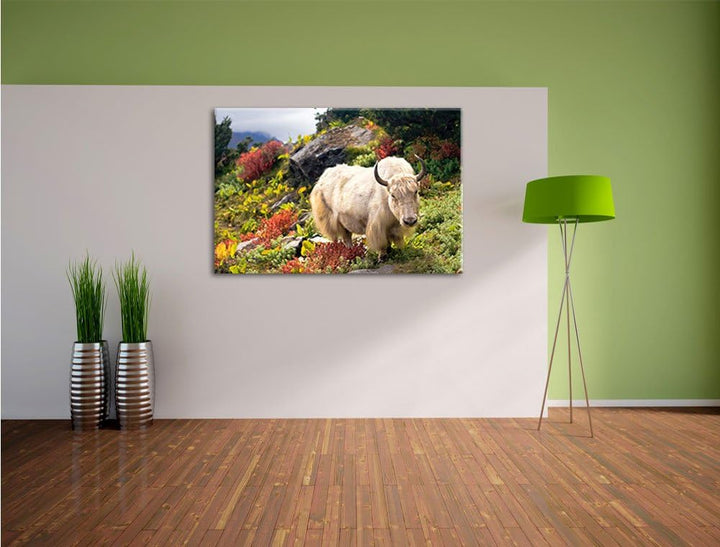 Schönes Yak Himalaya, Format: 100x70 auf Leinwand, XXL riesige Bilder fertig gerahmt mit Keilrahmen,