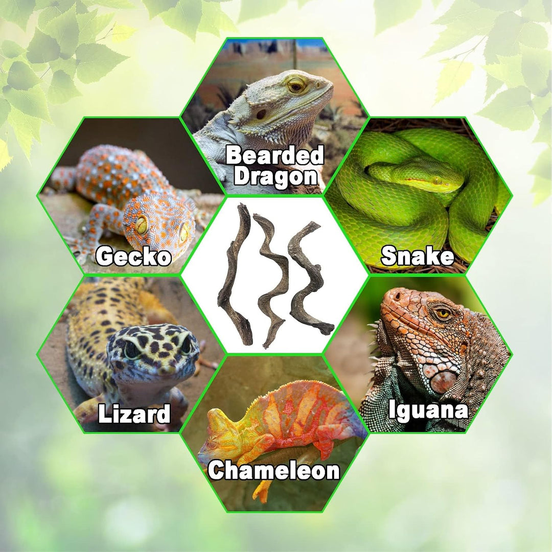 Reptilienholzzweig Eidechse Kletterreben Schlange Terrarium Dekor Gecko Tank Habitat Dekorationen fü