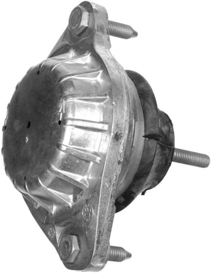 Meyle 100 199 0046 Lagerung, Motor