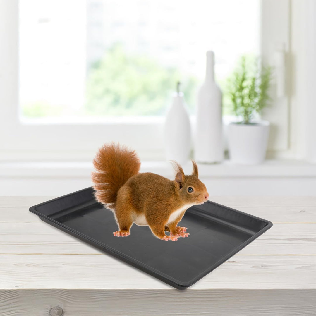 TOYANDONA Plastik Haustierkäfig Bodenwanne Schwarz Auslaufsichere Geruchsresistente Reinigungsschale