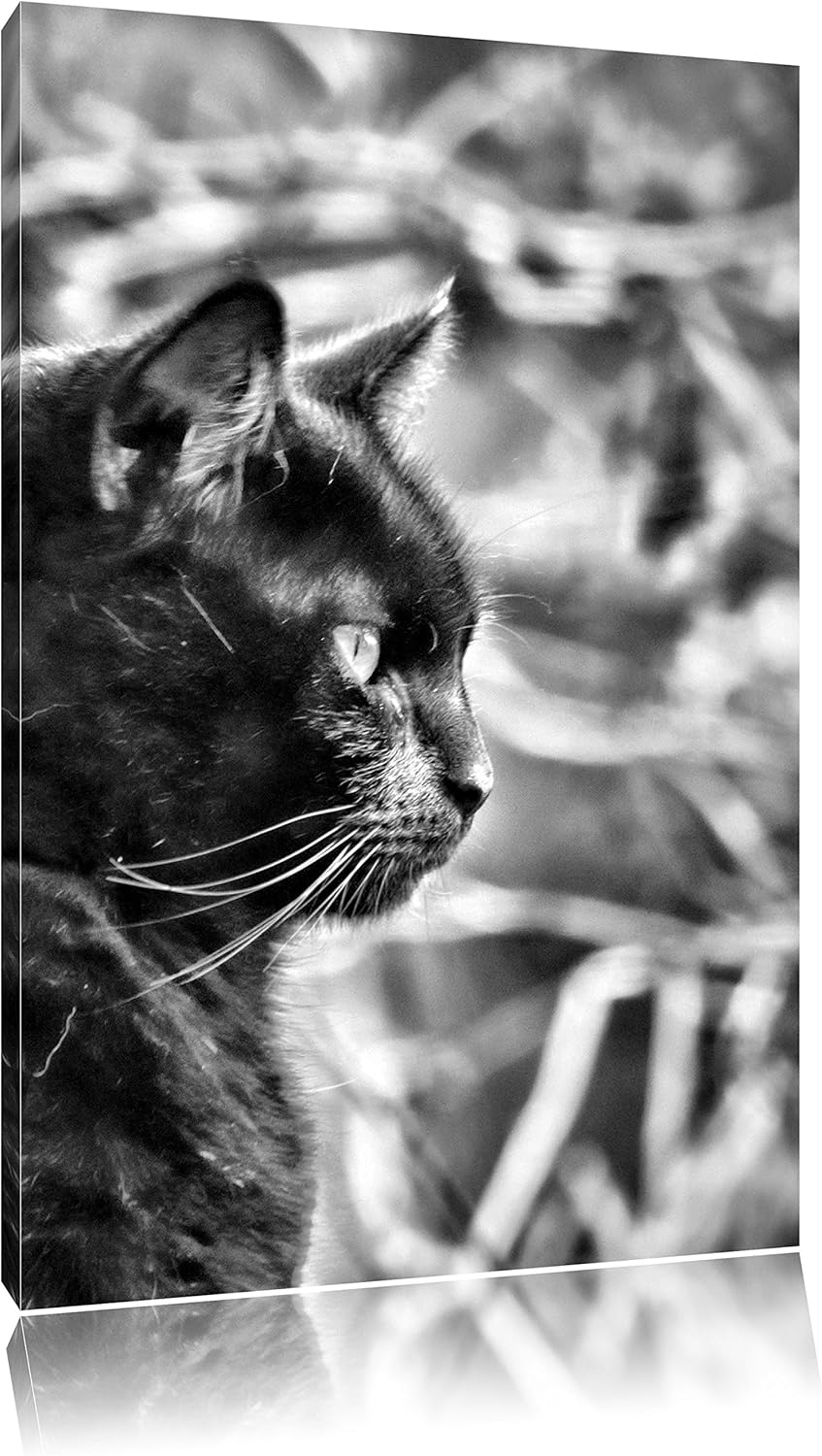 Monocrome, schwarze Katze, Format: 100x70 auf Leinwand, XXL riesige Bilder fertig gerahmt mit Keilra