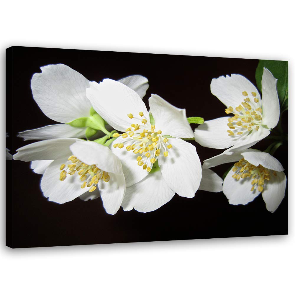 Feeby Wandbild Orchideen Druckbild Leinwandbild für Schlafzimmer Weiss 100x70 cm Leinwandbild 100x70