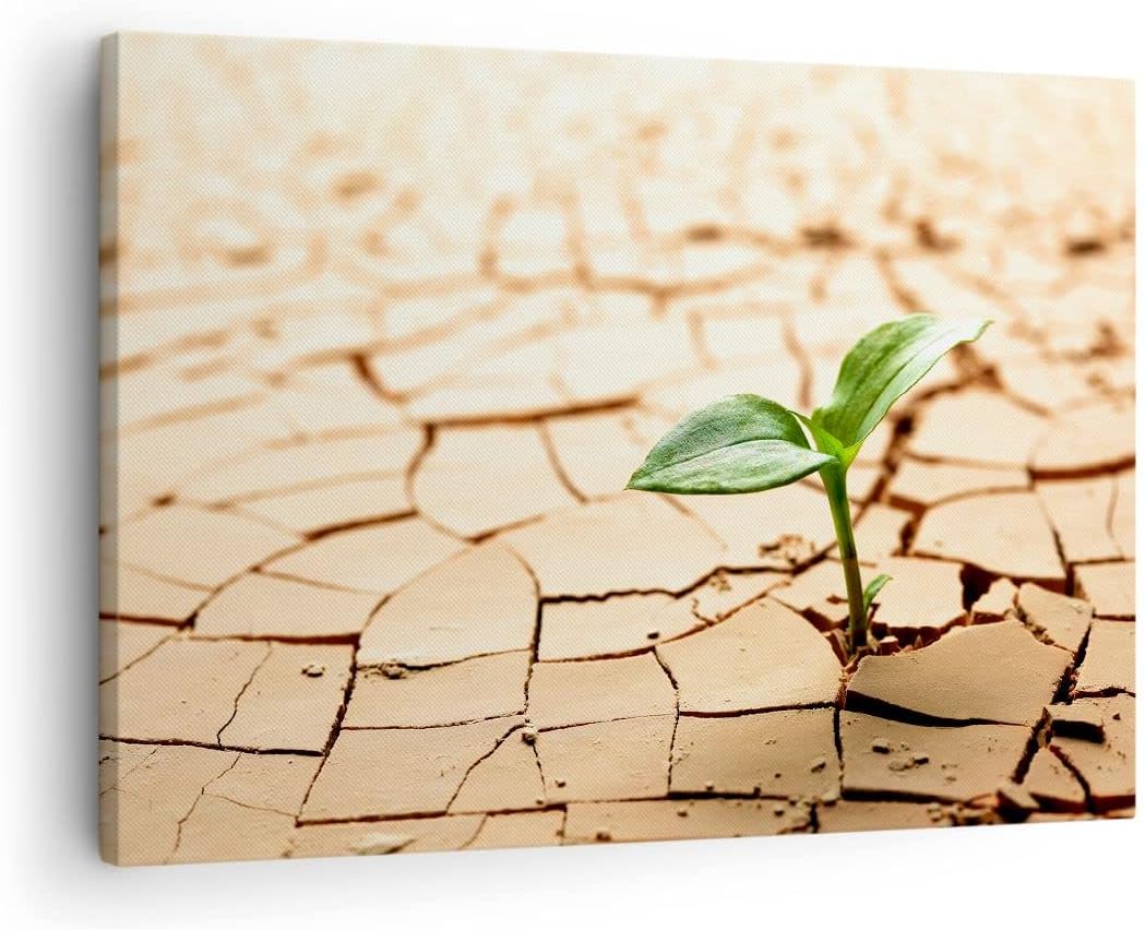 Bilder auf Leinwand Wüste Erde Umwelt Leinwandbild mit Rahmen 70x50cm Wandbilder Dekoration Wohnzimm