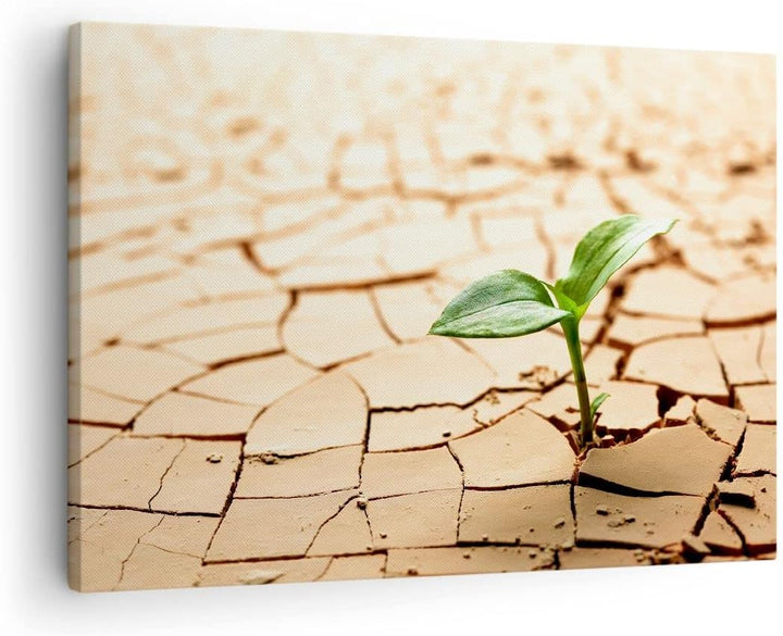 Bilder auf Leinwand Wüste Erde Umwelt Leinwandbild mit Rahmen 70x50cm Wandbilder Dekoration Wohnzimm