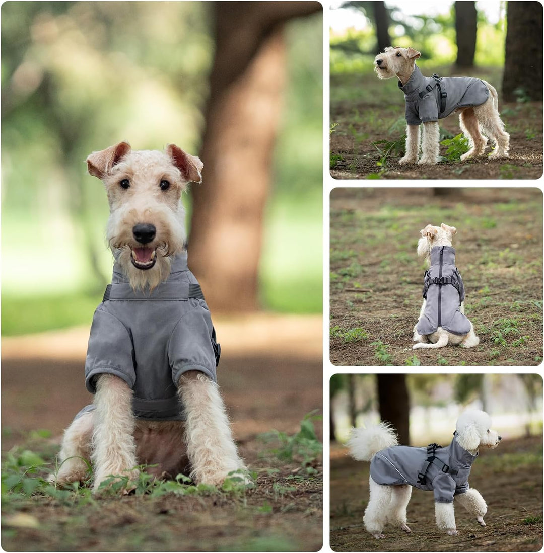 Graue mittelgrosse Hunde-Regenjacke, wasserdicht mit Geschirr - leicht anzuziehen, reflektierender R