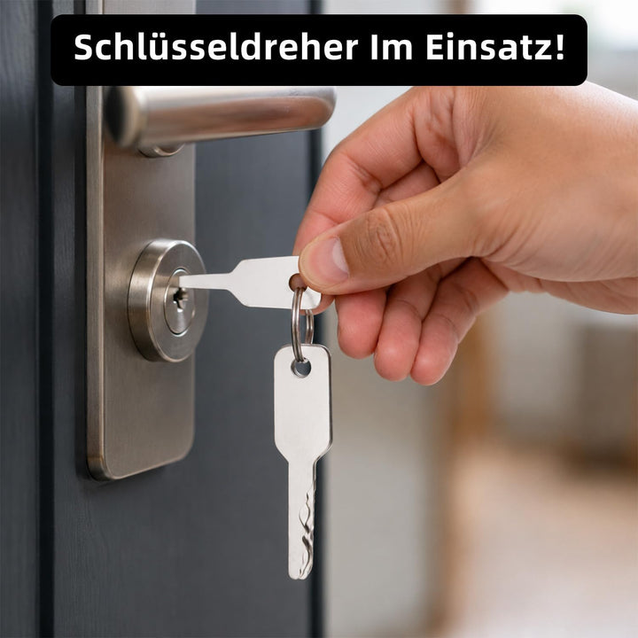 21 Stk Türöffnungswerkzeug Set, Edelstahl Dietrich Schlüsselrohlinge, Türöffner Werkzeug für elektri