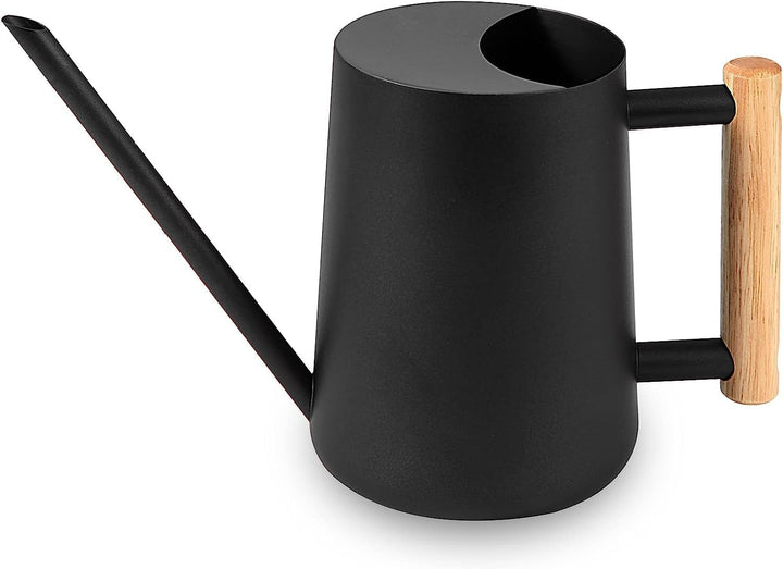 Giesskanne Zimmerpflanzen, 1000ml Metall Edelstahl Giesskanne Kleine Moderne Bewässerung Topf mit la