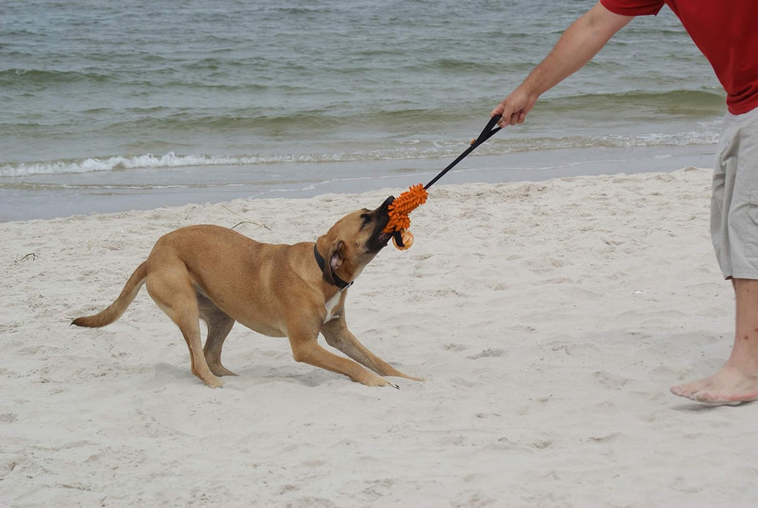 Dingo Mop Bungee Orange Mikrofaser mit Vanille Duft Ball Hundespielzeug Agility Apporte zum Spielen