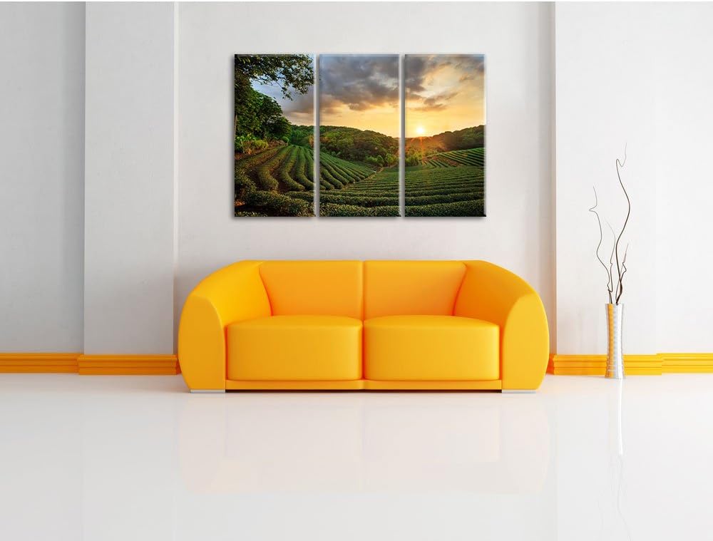 Pixxprint Teeplantage bei Sonnenuntergang als Leinwandbild/Grösse: 3 Teilig (120x80 cm) cm/Wandbild/