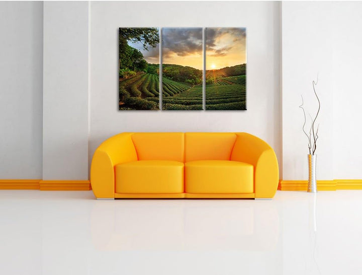 Pixxprint Teeplantage bei Sonnenuntergang als Leinwandbild/Grösse: 3 Teilig (120x80 cm) cm/Wandbild/