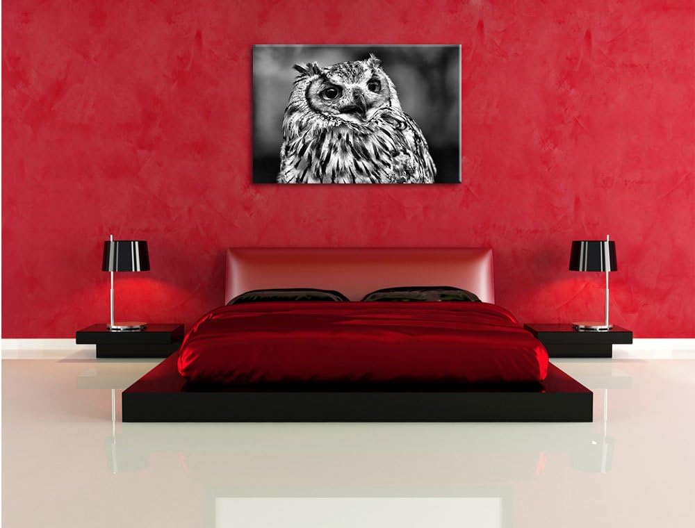 Pixxprint sehr müde Waldeule als Leinwandbild/Grösse: 100x70 / Wandbild/Kunstdruck/fertig bespannt,
