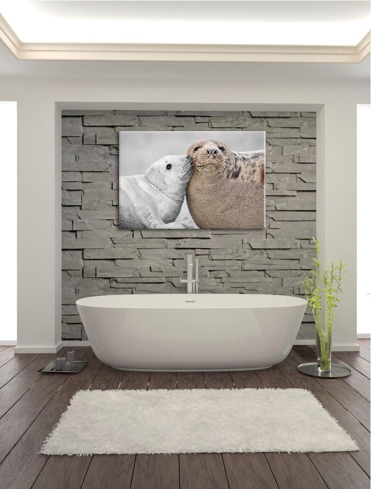 süsse Robben schmusen schwarz/weiss Format: 100x70 auf Leinwand, XXL riesige Bilder fertig gerahmt m