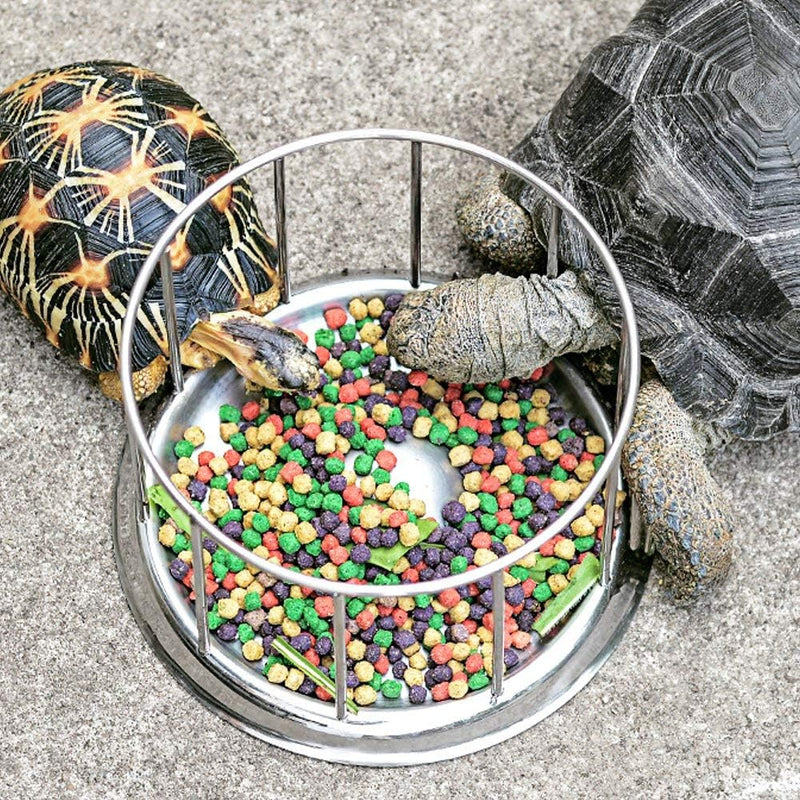 EVTSCAN Reptile Tortoise Feeder, langlebige Reptile Rock Food und Water Dish Feeder Bowl für Tortois