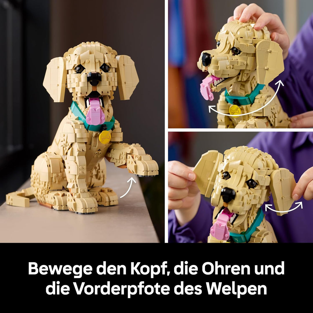 LEGO Icons Golden Retriever Welpe - Modellbau für Erwachsene - 3D Tierfigur zum Ausstellen mit Halsb