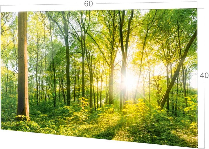 GRAZDesign Spritzschutz Küche Glas Wald, Lichtung, Bäume in Grün, Küchenrückwand Glas für Herd und S