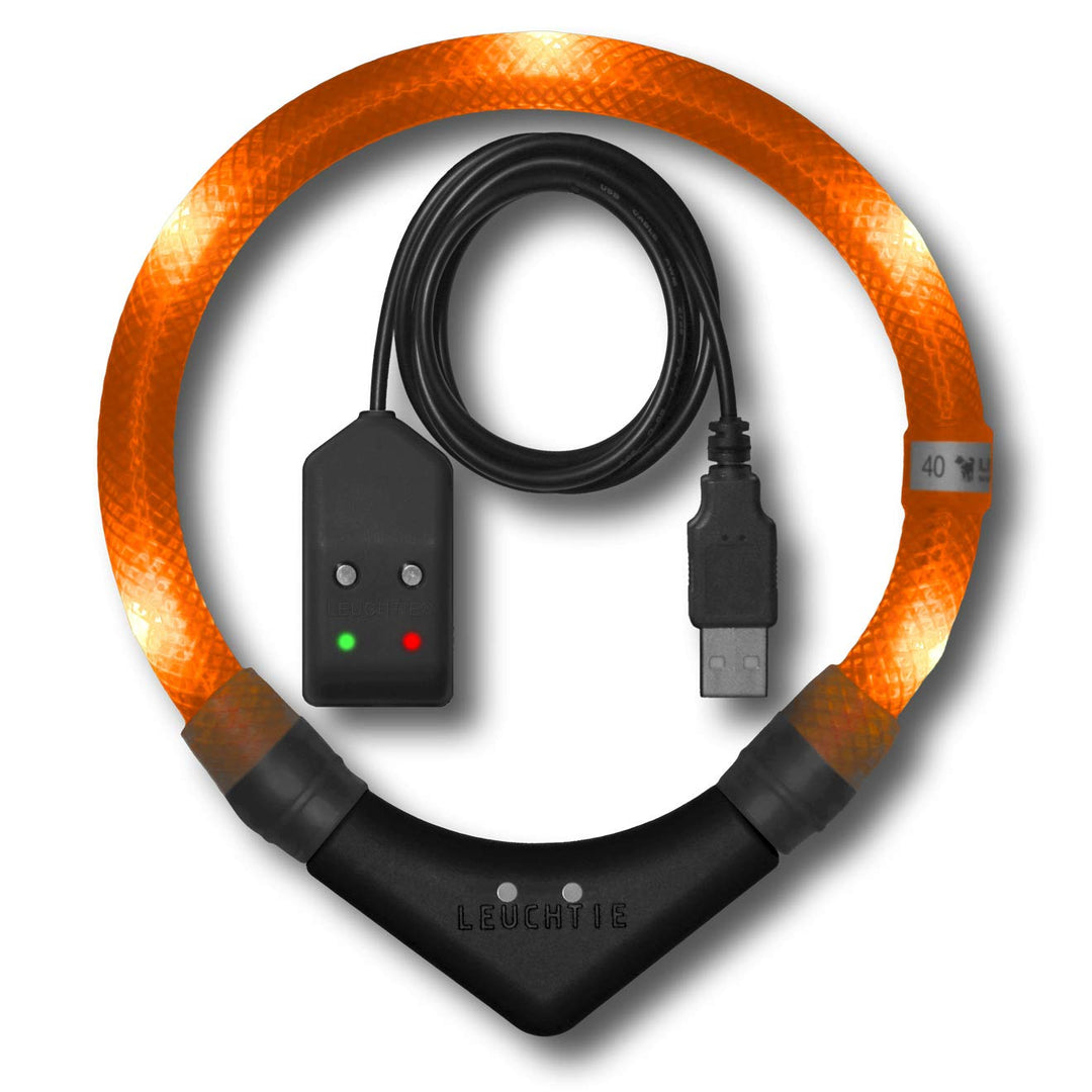LEUCHTIE® Easy Charge Leuchthalsband Hund aufladbar, wasserdichtes LED Halsband, Leuchtband für Hund
