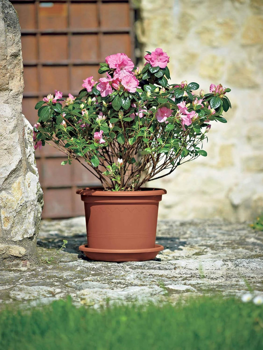 Euro3plast Geo Blumentopf mit Untersetzer 12 Grössen und 9 Farben zur Wahl (60 cm, Terrakotta) 60 cm