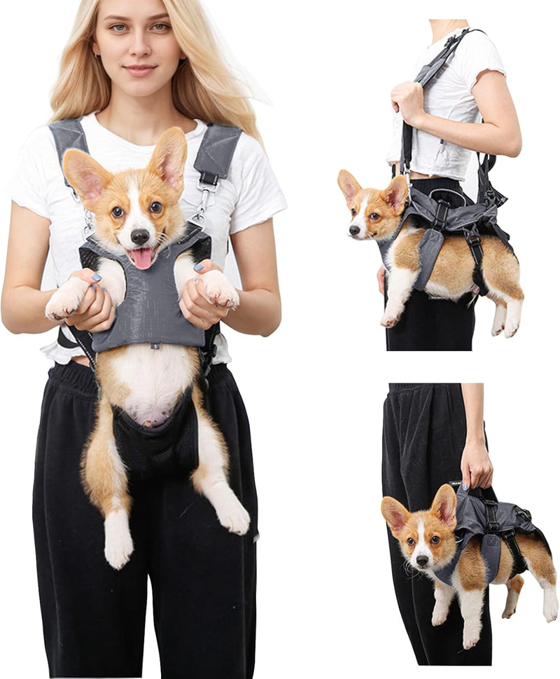 PETCUTE Haustier Rucksack Hundetragetasche,Verstellbare Brust Hunderucksack für Klein Hunde Katzen,T