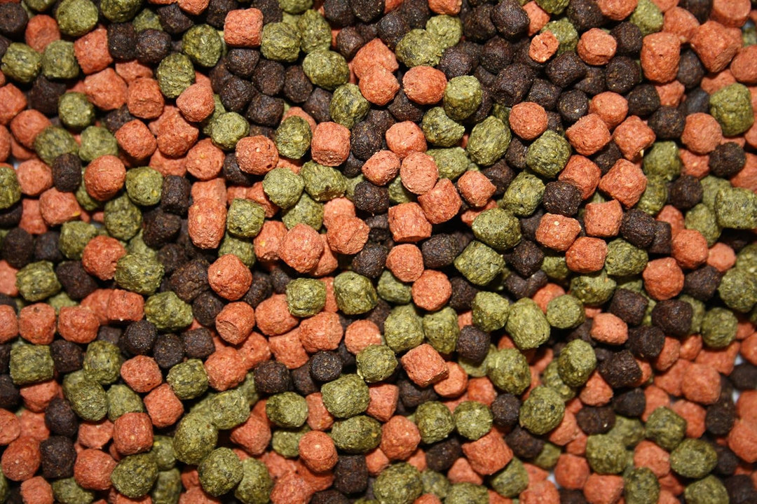 Koifuttermischung, Koifutter, Premium Koimix, Schwimmfutter, Teichfuttermix, Spirulina, Astax, Papri
