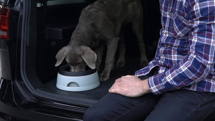 HUNTER ROAD REFRESHER 1,4 l, praktischer Reisenapf für Hunde, mit Anti-Schwapp-Funktion, grau/ schwa