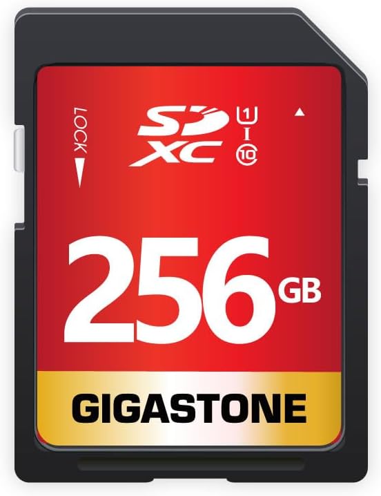 256GB Gigastone Pro SDXC 95MB Digital Card GS-SD-256 1-1PK-B