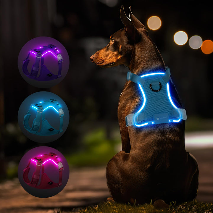 MASBRILL Hundegeschirr Leuchtend, LED Hundegeschirr Aufladbar &amp; Einstellbar für Welpen Kleiner Mittl