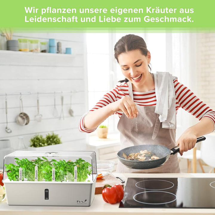 Mini Gewächshaus - Zimmergewächshaus mit Selbstbewässerung - Anzuchtkasten für Stecklinge - Anzuchts