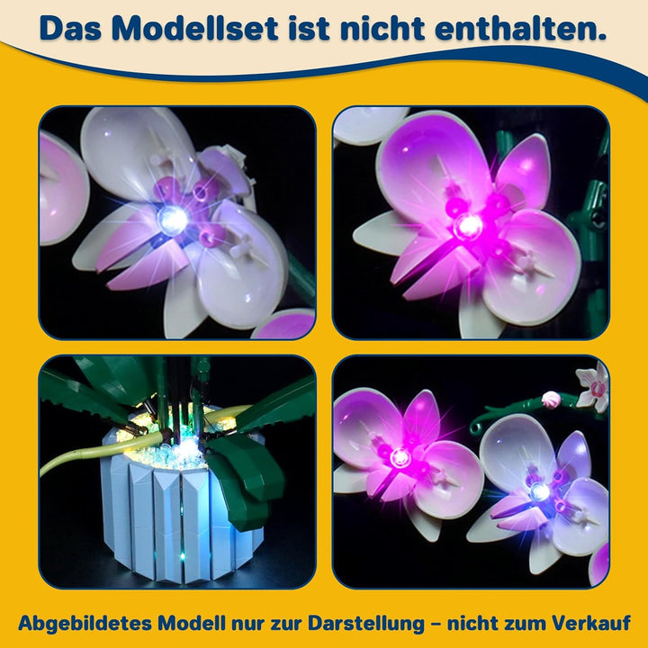 Led Licht Set für Lego Orchidee, Led Beleuchtungs Set für Lego 10311 Orchidee Botanical Collection S