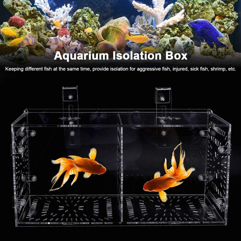 Pssopp Aquarium Zuchtbox Fischsämlinge Inkubator Aquarium Isolationsbox Aquarium Brutbrut Fischteile