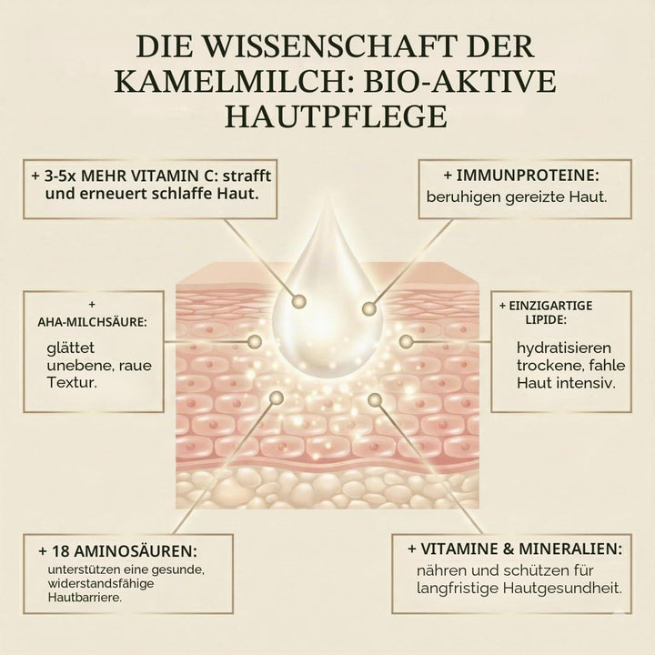 Cammellatte Kamelmilch Körperbutter mit Sheabutter - intensiv pflegende Bodylotion für trockene Haut
