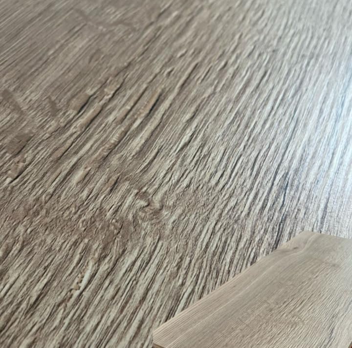 1 Stück Regalboden Einlegeboden WILD-Eiche 567 x 290 mm (L 56,7 cm x B 29,0 cm) Fachboden für 60 cm