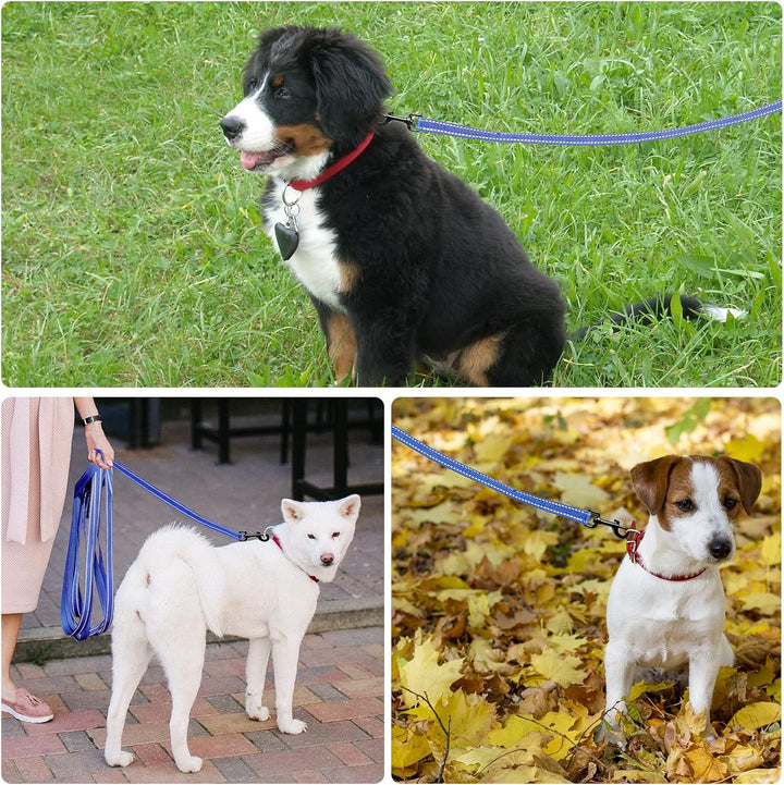 Demigreat Schleppleine für Hunde, 3m / 5m / 10m / 15m / 20m Robuste Lange Hundeleine Reflektierend T