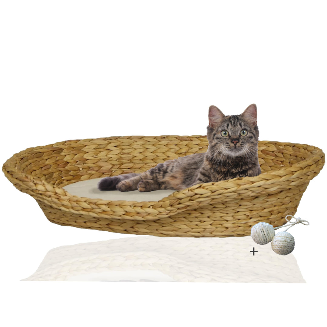 Rohrschneider Komfortables Katzenkörbchen mit Katzenkissen| Katzennest Korb Wasserhyazinthe | Katzen