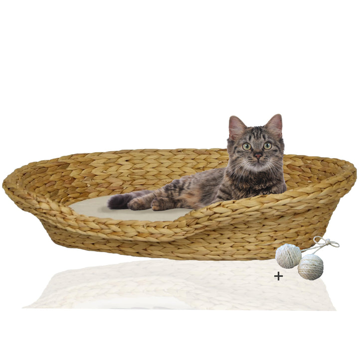 Rohrschneider Komfortables Katzenkörbchen mit Katzenkissen| Katzennest Korb Wasserhyazinthe | Katzen