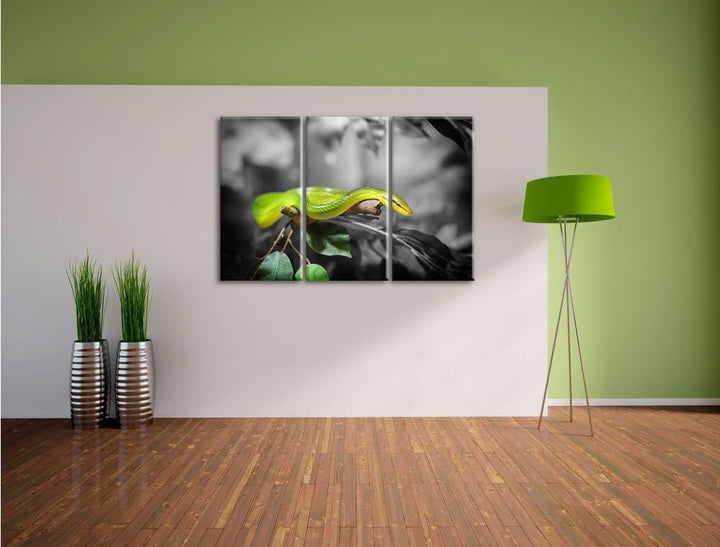 Pixxprint Raue grüne Schlange als Leinwandbild | Grösse: 3 Teilig (120x80) | Wandbild| Kunstdruck |
