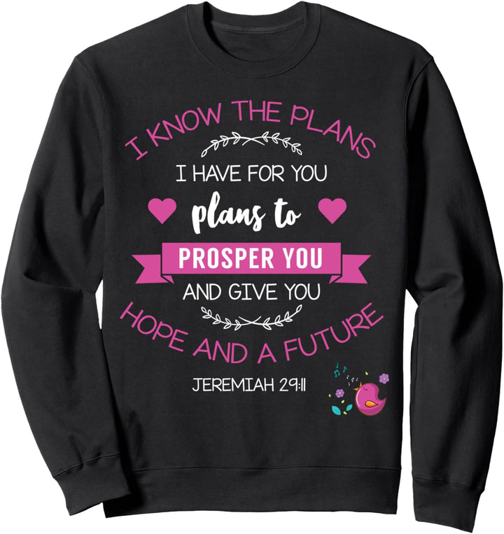 God's Plan to Prosper & Bless You Christian Gift Sweatshirt