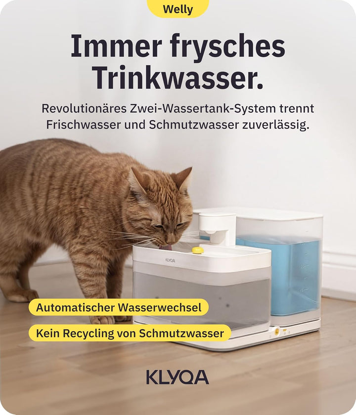 Klyqa Welly Weisser Premium Trinkbrunnen für Katzen&amp;kleine Hunde I Frisch- &amp; Schmutzwasser getrennt